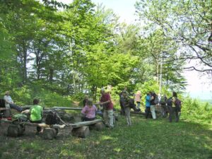 85-Gönningen-Nebelhöhle