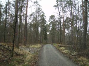 88-Wurmlinger-Kapelle-Wanderung