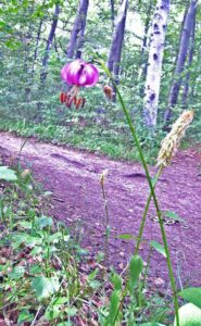 88_Wanderung_Beuren_Hohen-N