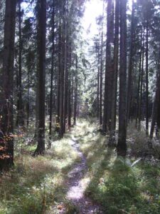 89-Lochen-Wandertour