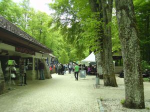 91-Gönningen-Nebelhöhle