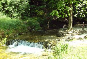 91-Traifelberg-Wandertour