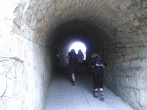 91_Wanderung_Beuren_Hohen-N