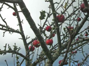 96-Lochen-Wandertour