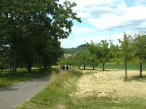 99_Wanderung_Beuren_Hohen-N