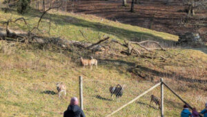 4-Heuberger-Tor-Wanderung-