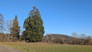 6-Heuberger-Tor-Wanderung-