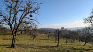 7-Heuberger-Tor-Wanderung-